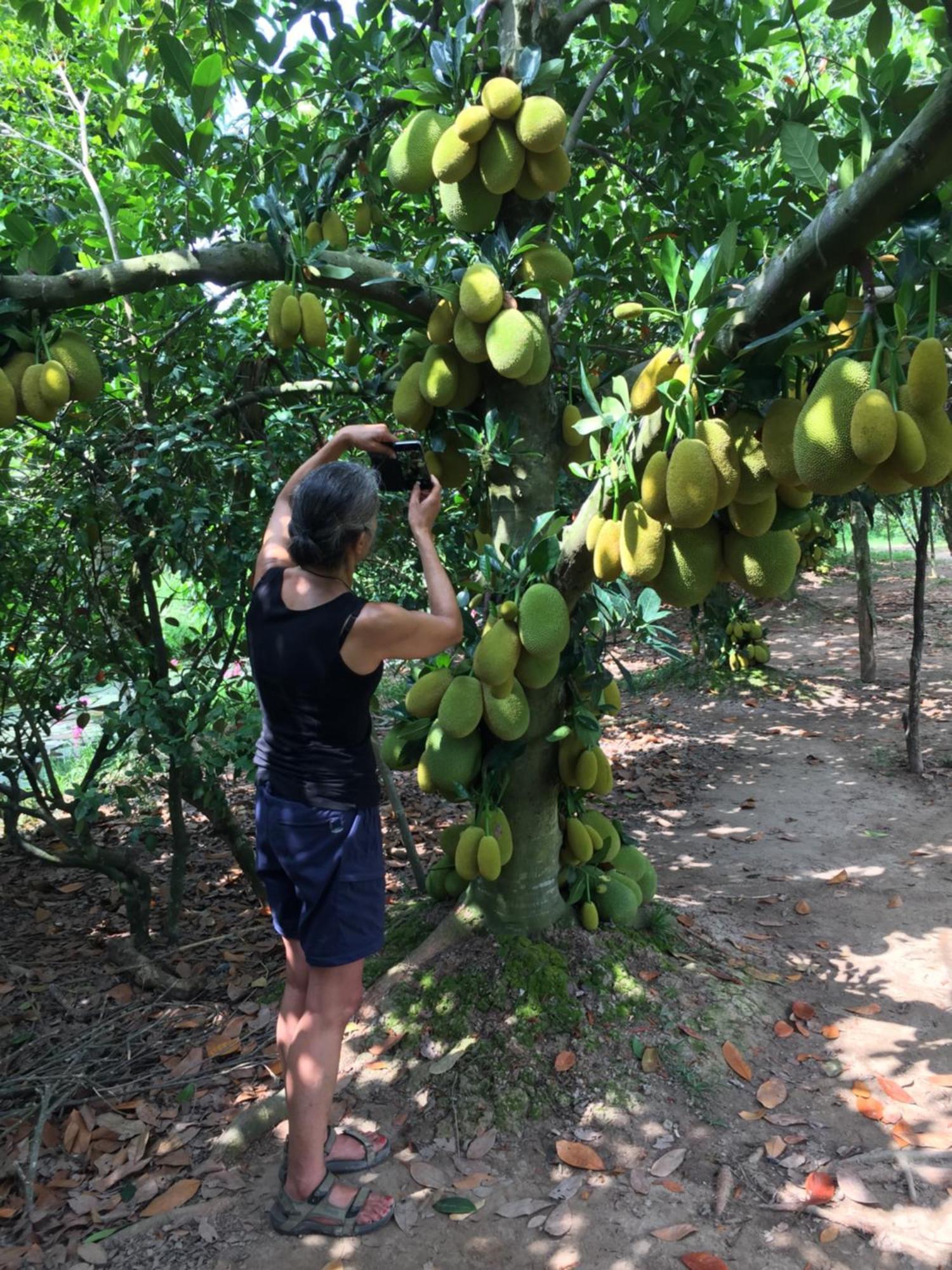 Mekong Farmstay Cantho - C.R Floating Market Can Tho Luaran gambar
